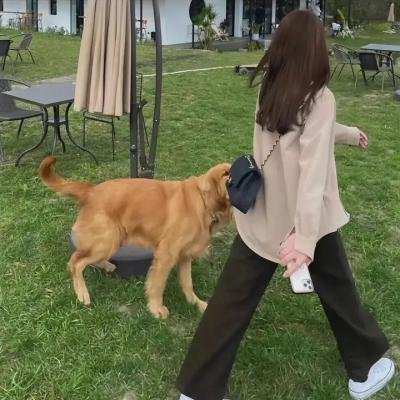 圣特鲁佩斯的警察国语 海报